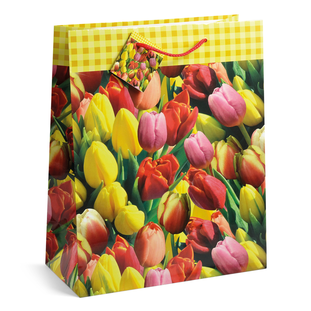 Sacosa Primavara, din hartie cu maner din snur, 17.8 x 23 x 9.8 cm  varsta 6 ani+,8 ani+ [7]