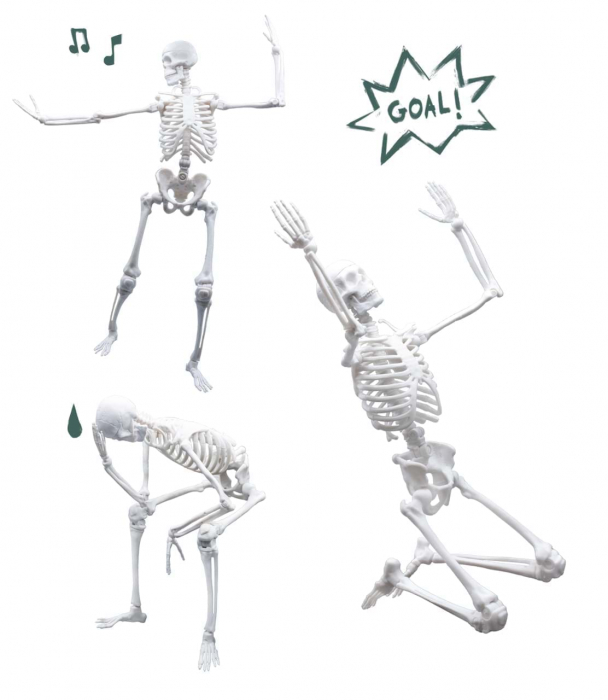 Schelet Gigant, 45 cm, Buki France [5]