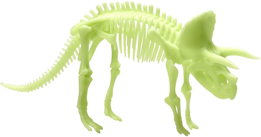 Schelet Triceratops reflectorizant [2]