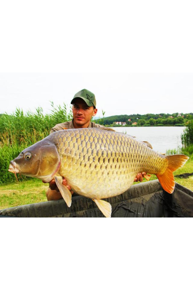 Select Baits boilies Belachan + Mussel & Belachan 16mm (fierte) / 1 kg [3]