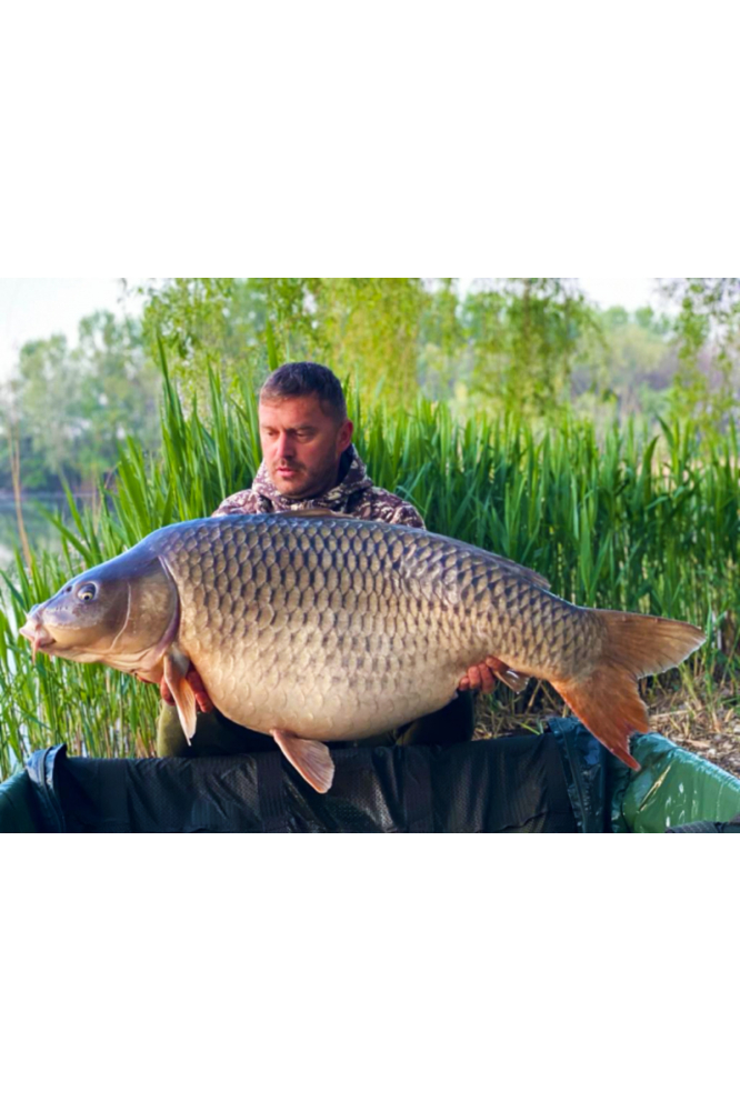 Select Baits Boilies Crab & Krill 20mm (fierte) [4]