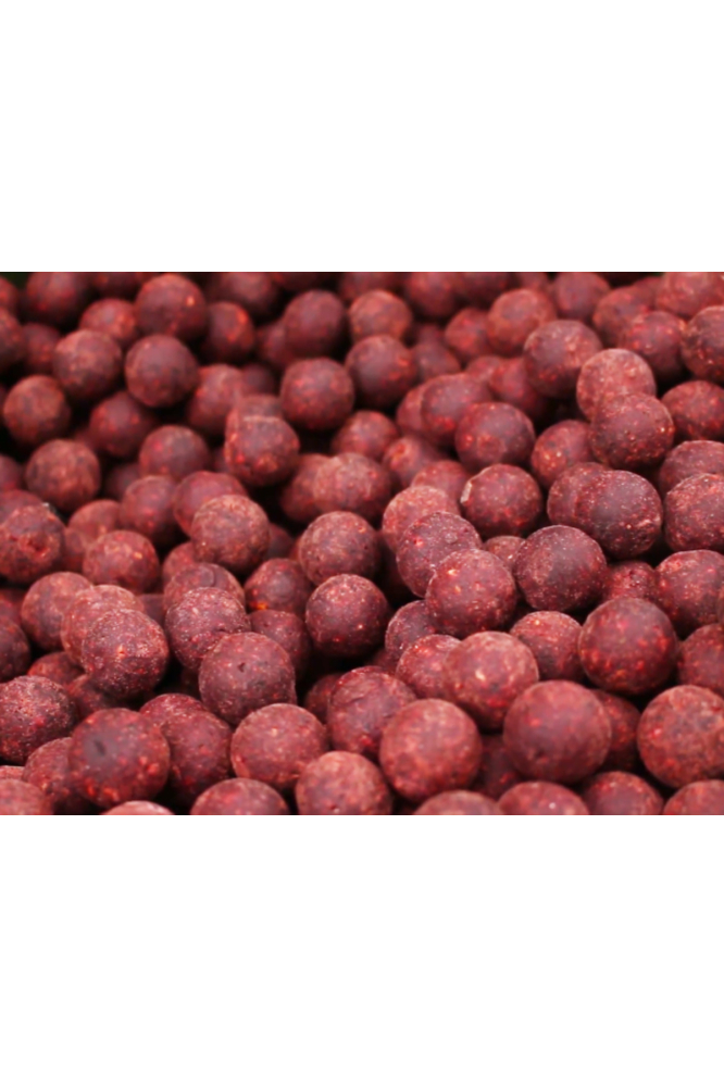 Select Baits boilies Meat & Fish + Squid & Octopus & Cranberry 24mm (solubile) / 1 kg [2]