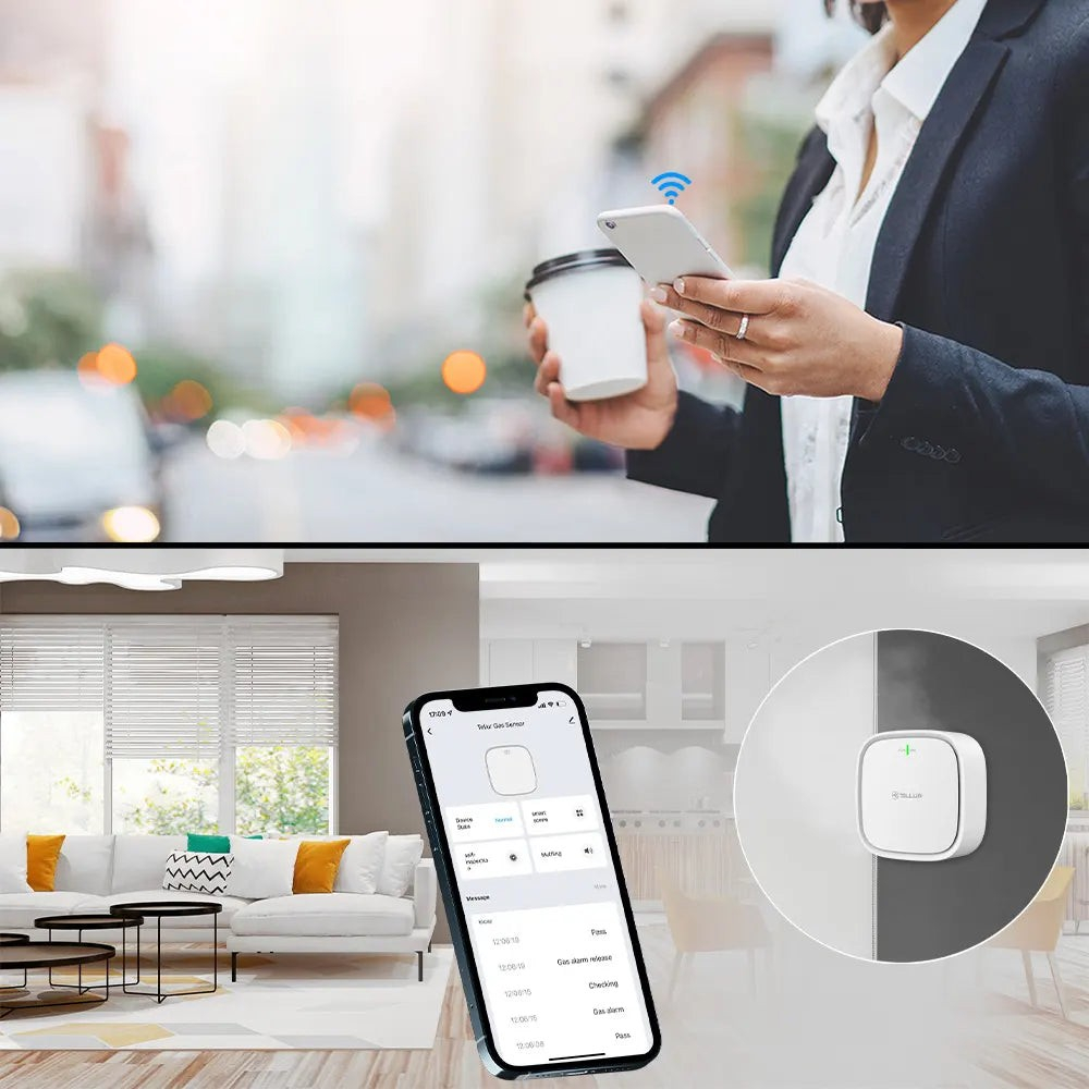 Senzor de gaz WiFi Tellur Smart, DC12V 1A, Alb [6]