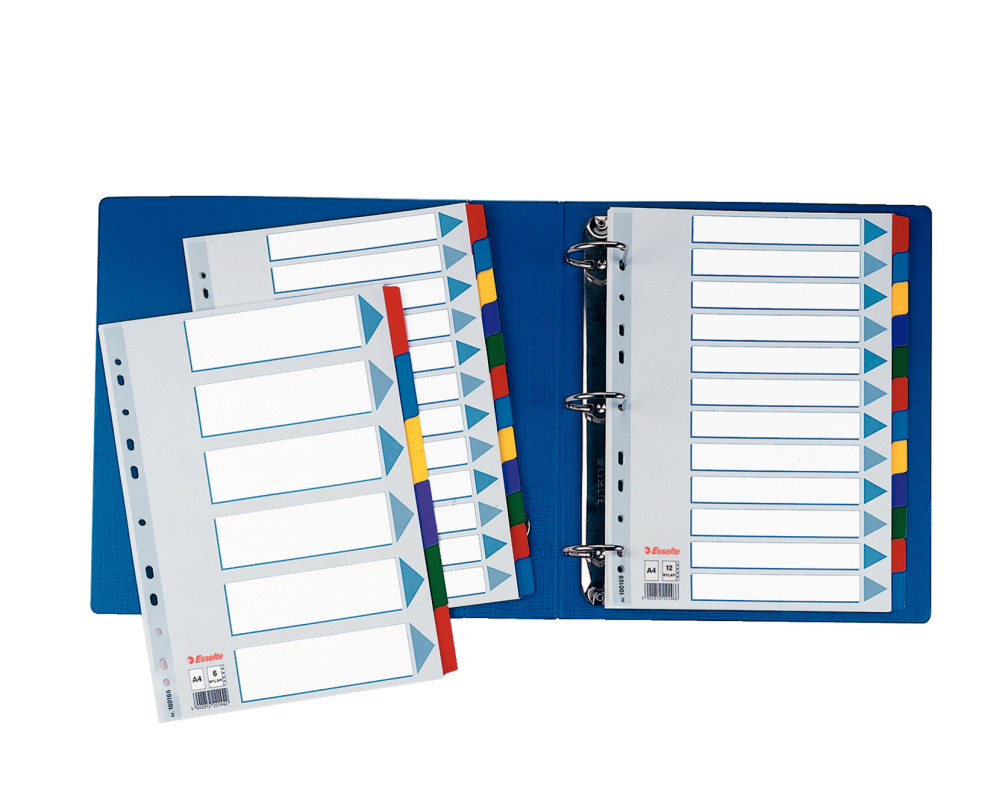 Separatoare index carton 6 coli  mylar esselte [2]