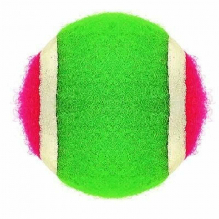 Set 2 Palete cu Arici, Scai si Velcro, Joc Arunca si Prinde Mingea [6]