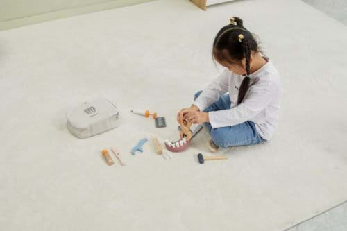 Set dentist PolarB [8]