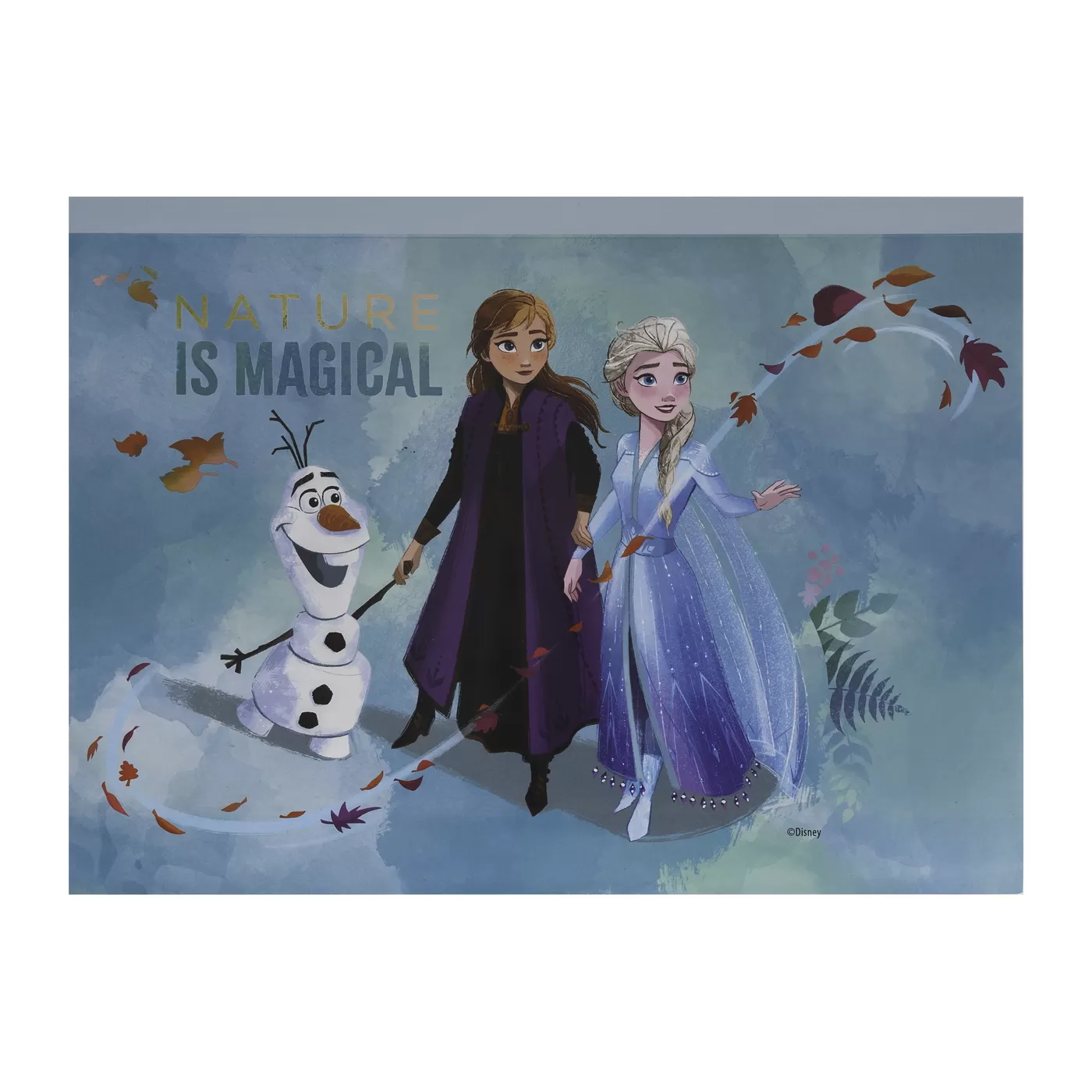 Set pictura si desen, Frozen, Gentuta de creatie, varsta de la 3 ani la 9 ani [3]