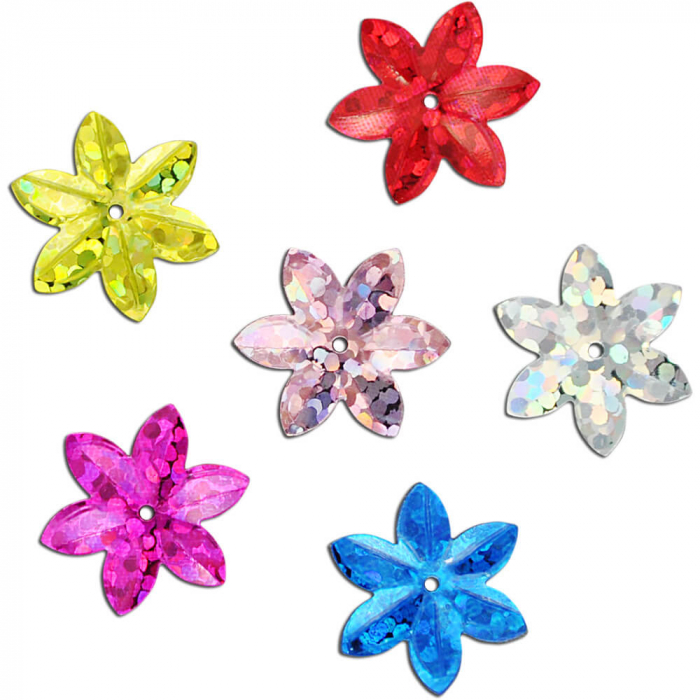 Set floricele multicolore pentru activitati craft, 20 gr [2]