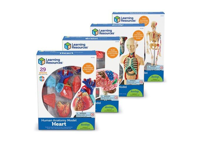 Set machete - Anatomie [4]