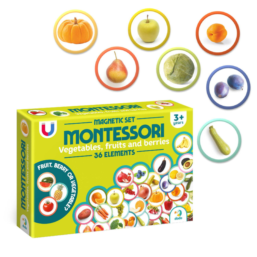 Set magneti Montessori - Fructe si legume [2]