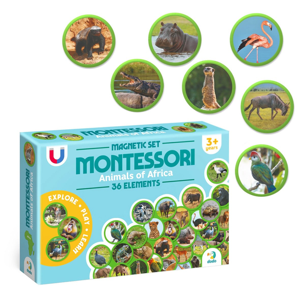 Set magnetic Montessori, Animale din Africa, varsta 3-7 ani [3]