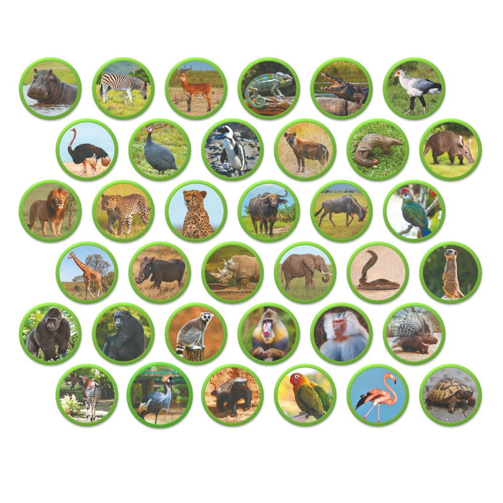 Set magnetic Montessori, Animale din Africa, varsta 3-7 ani [2]