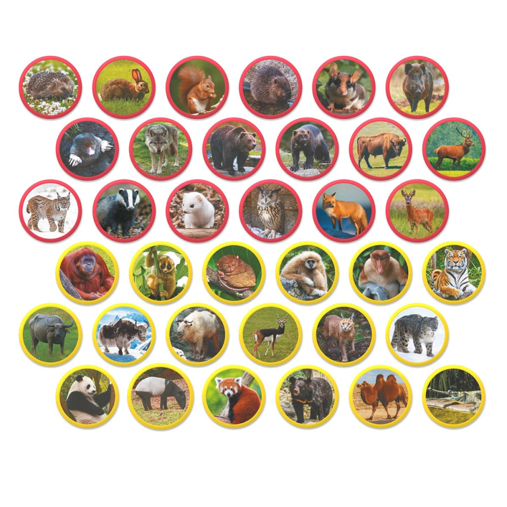 Set magnetic Montessori, Animale din Eurasia, varsta 3-7 ani [2]