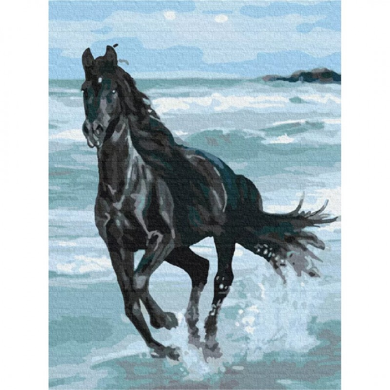 Set Pictura pe numere 40x50cm, Brushme - Calul alearga in mare - panza, cadru de lemn, pensule, culori acrilice, BS29330 [2]