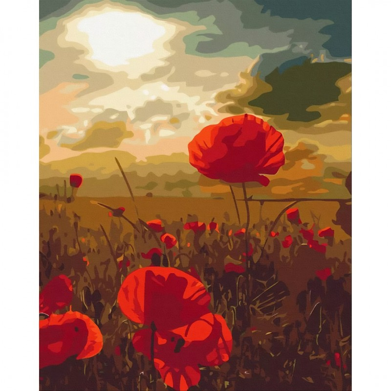Set Pictura pe numere 40x50cm, Brushme - Camp cu maci - panza, cadru de lemn, pensule, culori acrilice, BS51961 [2]