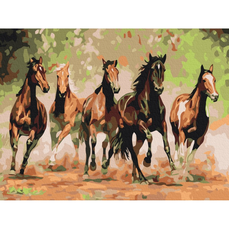 Set pictura pe numere 40x50cm, Brushme - Herghelie de cai - pensule, culori, BS8288 [2]