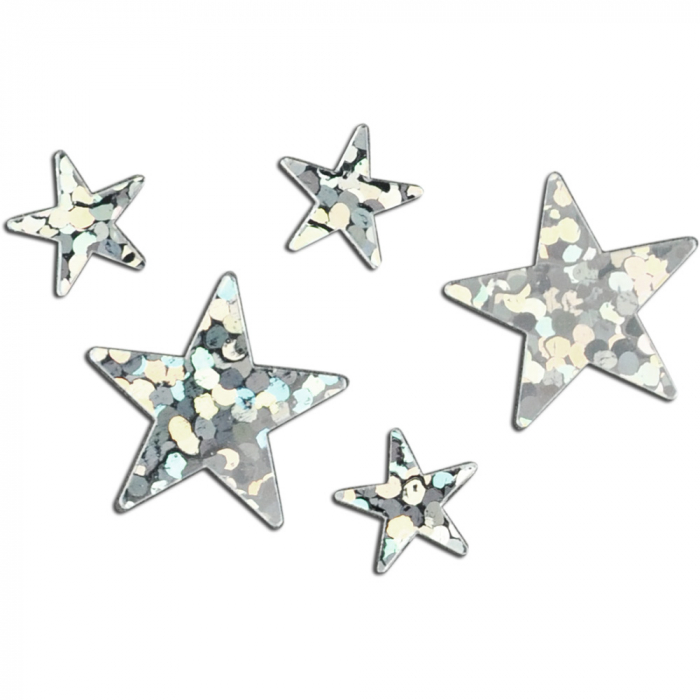 Set stelute holograma pentru activitati craft, 20 gr [2]