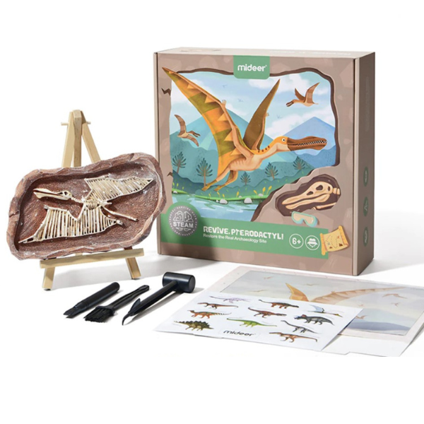 Setul micului arheolog, descoperirea dinozaurului pterodactyl [1]