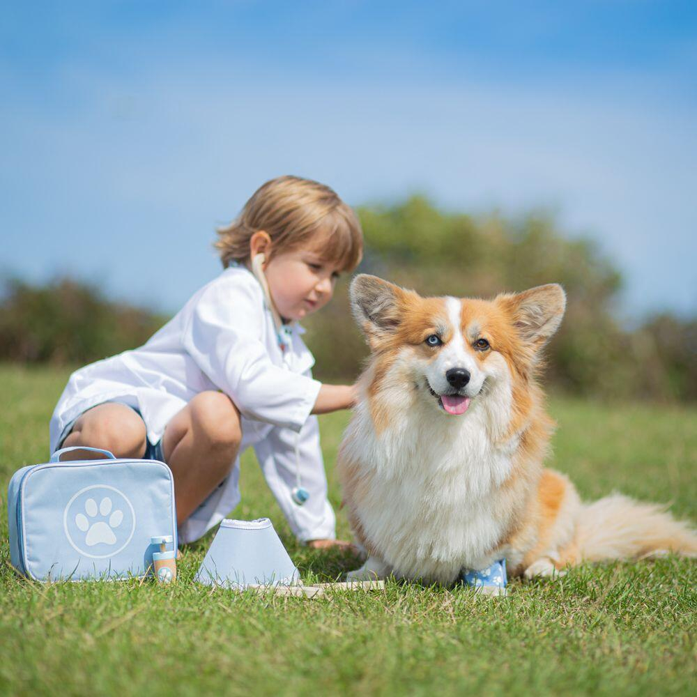 Setul micului veterinar [2]