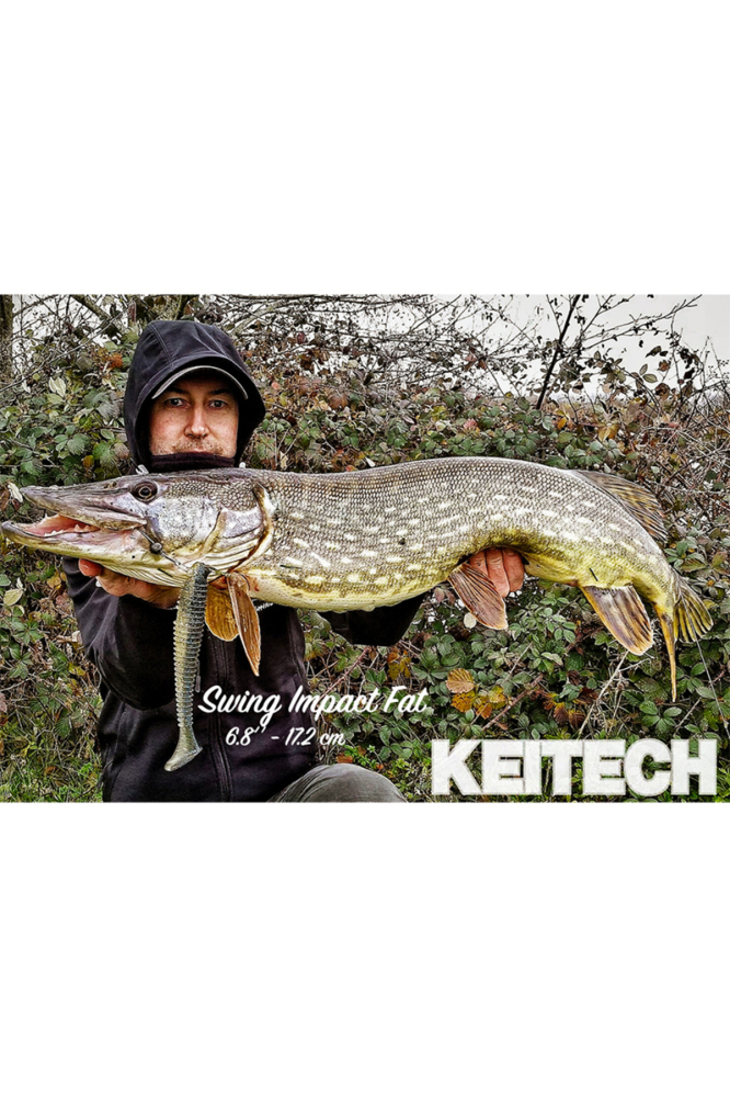 Shad Keitech Swing Impact FAT UA Limited EA#12 7.1cm [4]