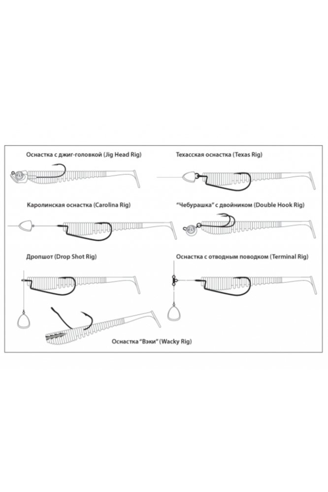 Shad Pontoon21 Awaruna EVO 3314 15.2cm [4]