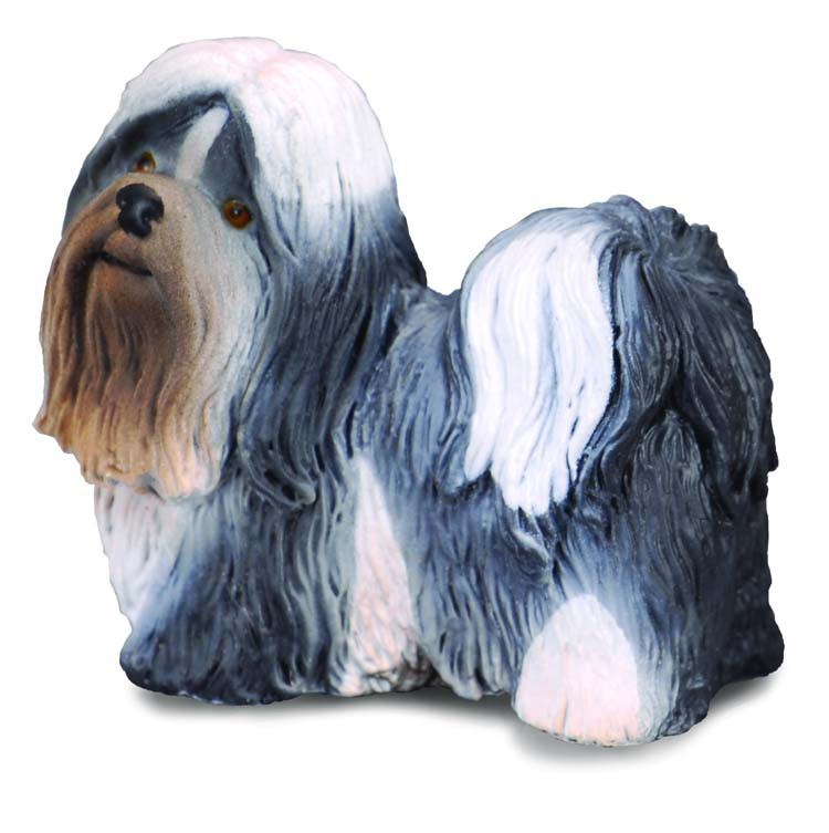 Shih Tzu - Collecta [1]