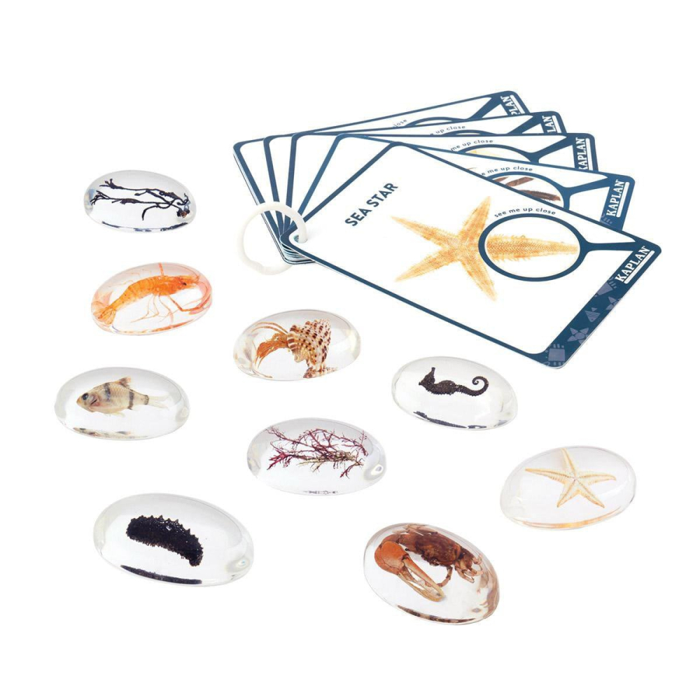 Specimen Stones, pietre din acril cu creaturi marine, copii varsta 2-10 ani [2]