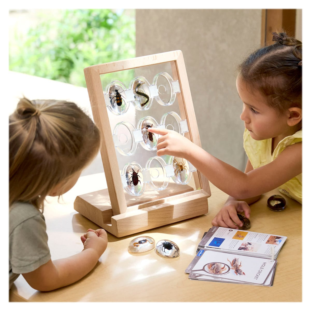 Specimen Stones, pietre din acril cu creaturi taratoare, copii varsta 3-10 ani [5]