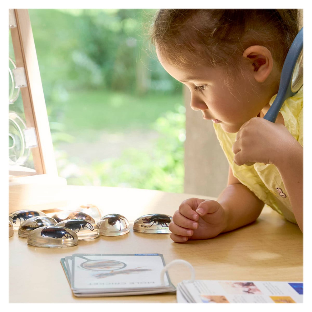 Specimen Stones, pietre din acril cu creaturi taratoare, copii varsta 3-10 ani [2]