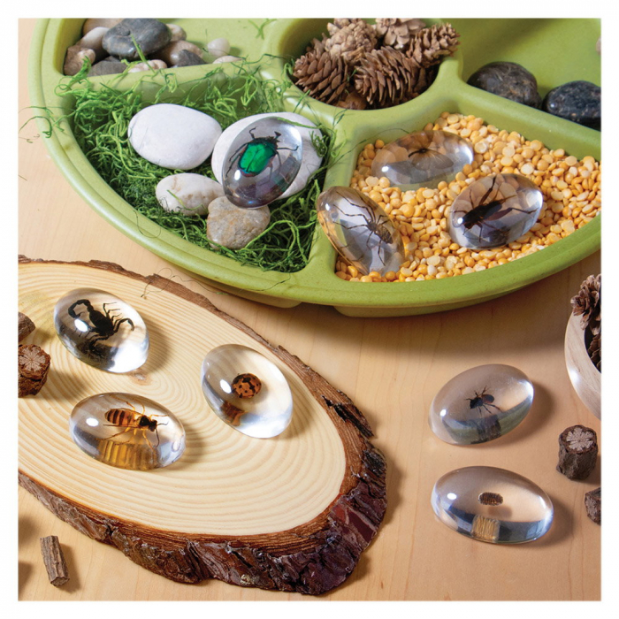 Specimen Stones, pietre din acril cu insecte, Guidecraft, 2-10 ani [3]