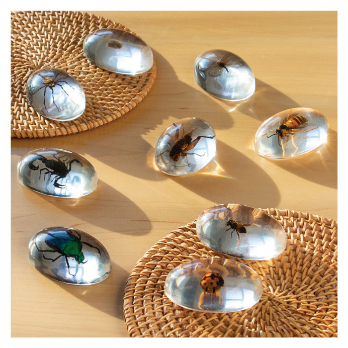 Specimen Stones, pietre din acril cu insecte, Guidecraft, 2-10 ani [2]