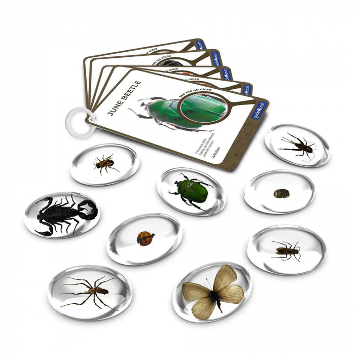 Specimen Stones, pietre din acril cu insecte, Guidecraft, 2-10 ani [4]