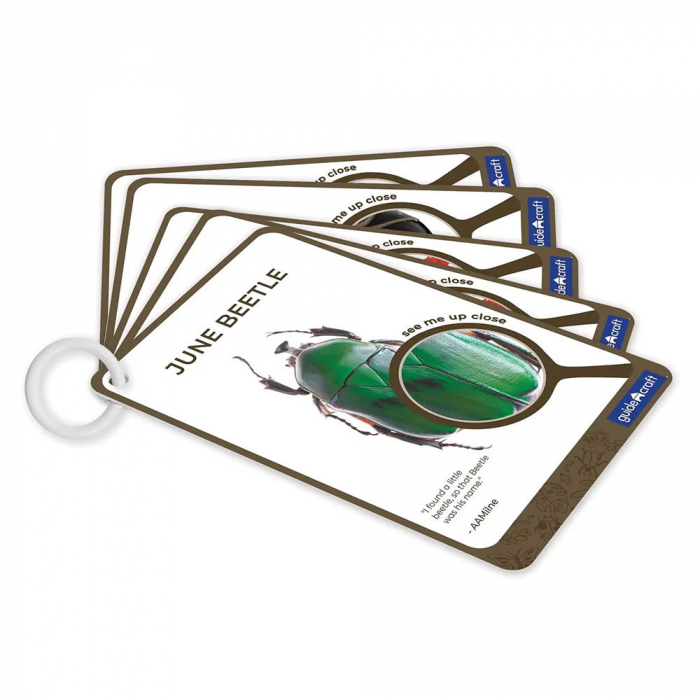 Specimen Stones, pietre din acril cu insecte, Guidecraft, 2-10 ani [6]
