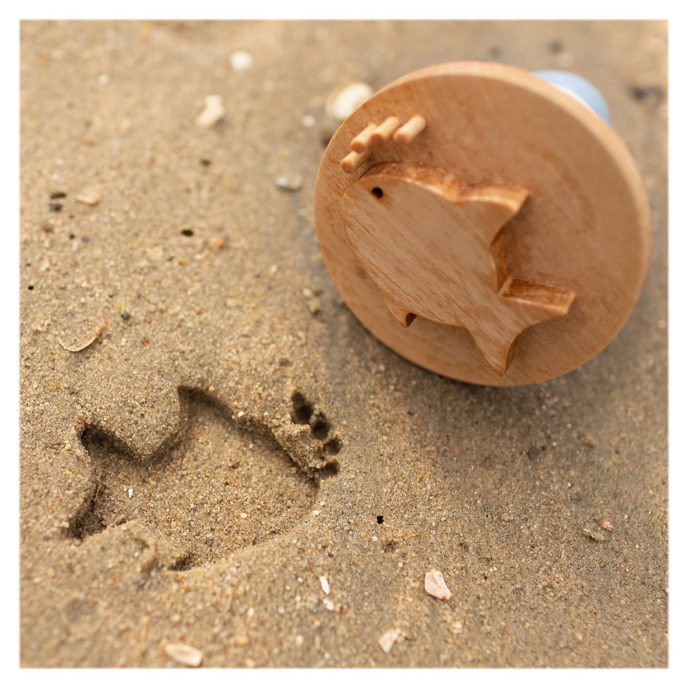 Stampile pentru nisip, copii varsta 2-7 ani [3]