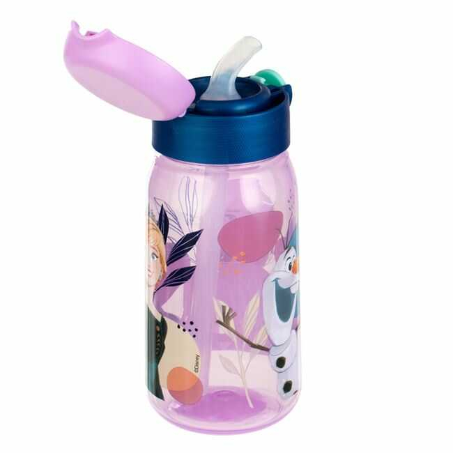 Sticle Apa Copii, Gradinita si Scoala, 500 ml cu Pai, Frozen [2]
