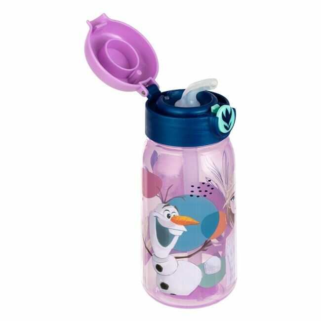 Sticle Apa Copii, Gradinita si Scoala, 500 ml cu Pai, Frozen [5]