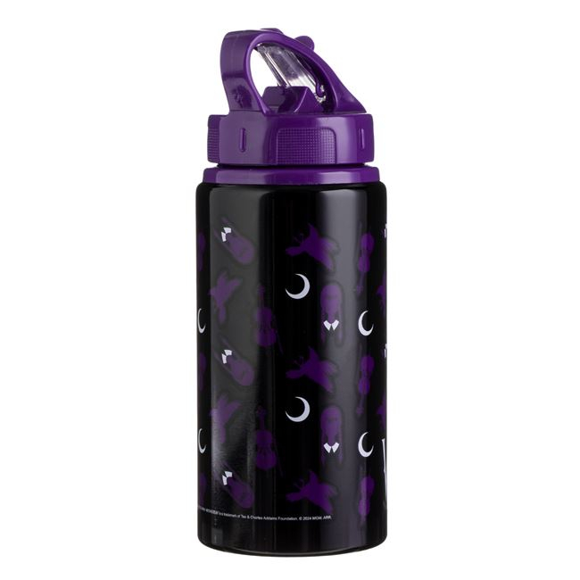 Sticle Apa Copii, Gradinita si Scoala, din Aluminiu, 500 ml, Wednesday [4]