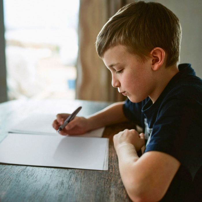 Stilou Schneider Ray pentru Dreptaci - Micostore.ro [2]