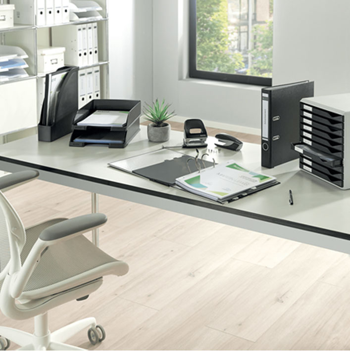 Tavita documente gri plus leitz [3]