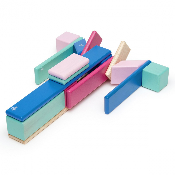 Tegu Blossom, set 24 piese din lemn magnetic, 1-10 [1]