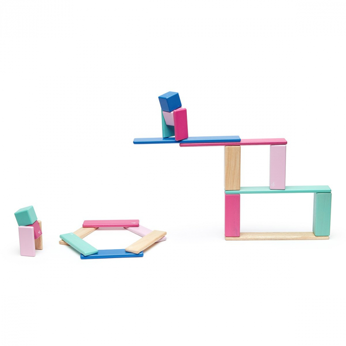Tegu Blossom, set 24 piese din lemn magnetic, 1-10 [3]