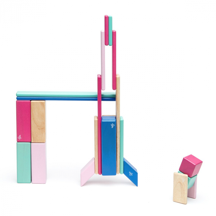 Tegu Blossom, set 24 piese din lemn magnetic, 1-10 [4]