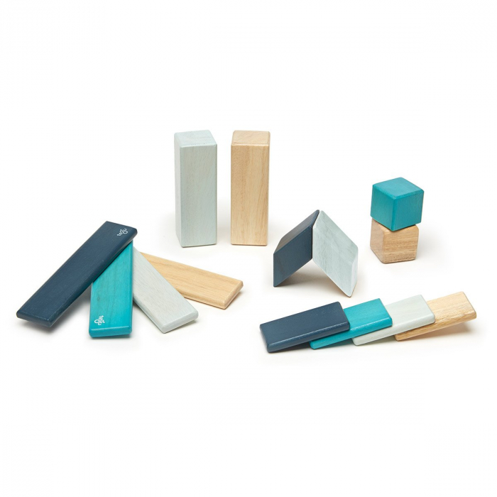 Tegu Blues, set 14 piese din lemn magnetic, 1-10 [6]