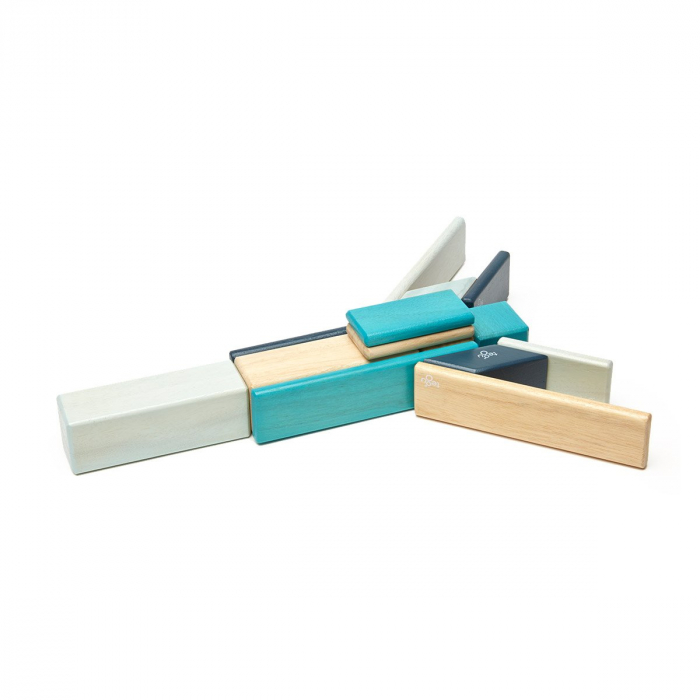 Tegu Blues, set 14 piese din lemn magnetic, 1-10 [5]