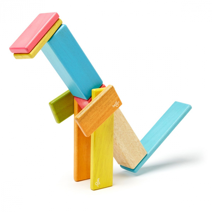 Tegu Tints, set 14 piese din lemn magnetic, 1-10 [3]