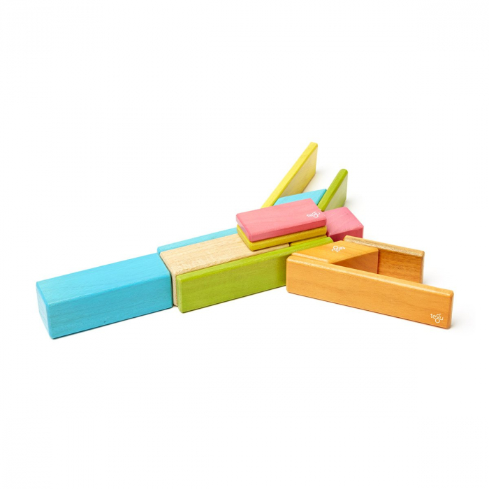 Tegu Tints, set 14 piese din lemn magnetic, 1-10 [5]