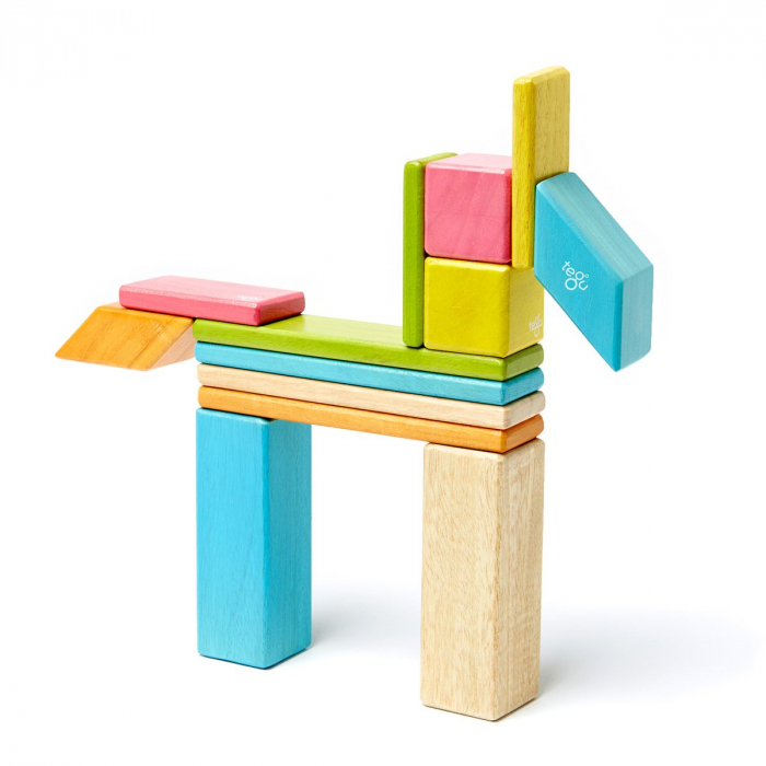 Tegu Tints, set 14 piese din lemn magnetic, 1-10 [4]