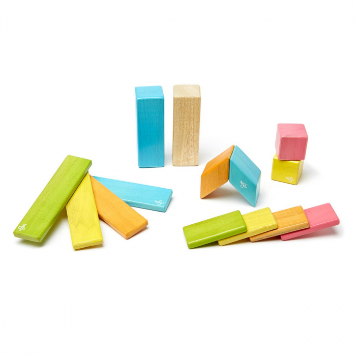 Tegu Tints, set 14 piese din lemn magnetic, 1-10 [6]