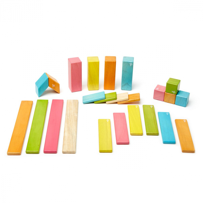 Tegu Tints, set 24 piese din lemn magnetic, 1-10 [6]