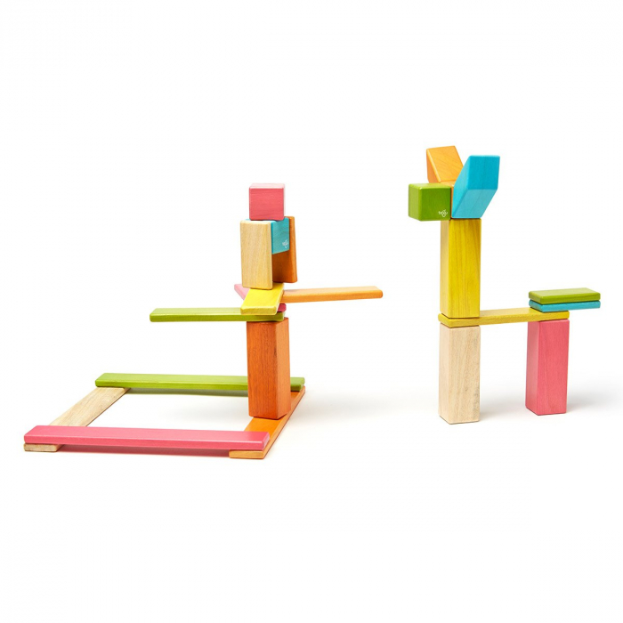 Tegu Tints, set 24 piese din lemn magnetic, 1-10 [2]
